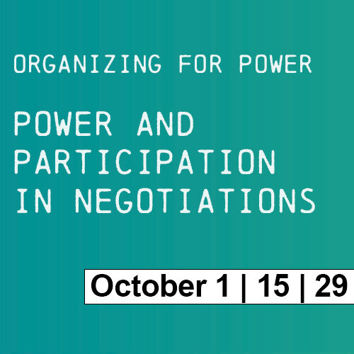 Power and Participation in Negotiations